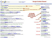 Paid Search results after Google cookies cleared